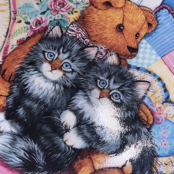 🐈 🐻 🐈‍⬛ • 🐈‍⬛🐻 Cozy Companions 🐻🐈 • Cat vibes - Picture 8 of 8